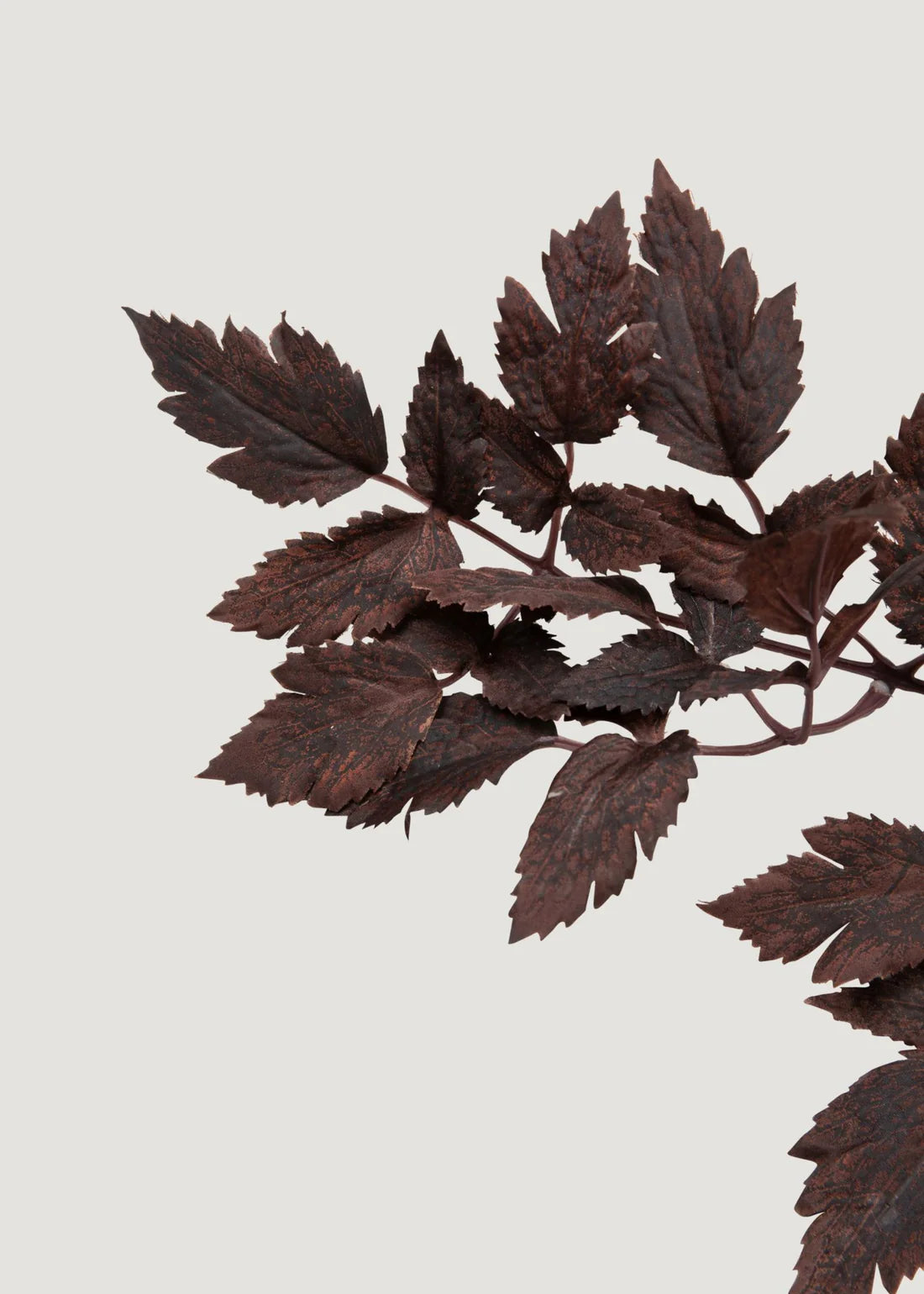 Plum Fake Cimicifuga Ramosa Leaves - 31"