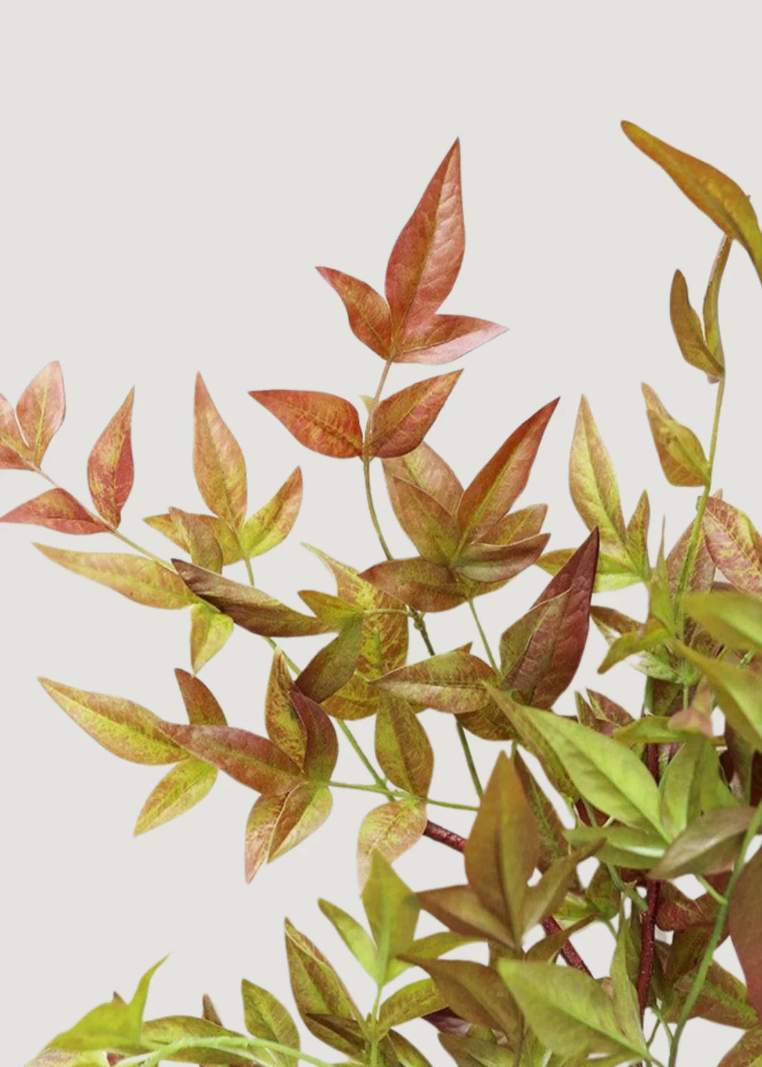 Artificial Nandina Leaf Branch - 39"