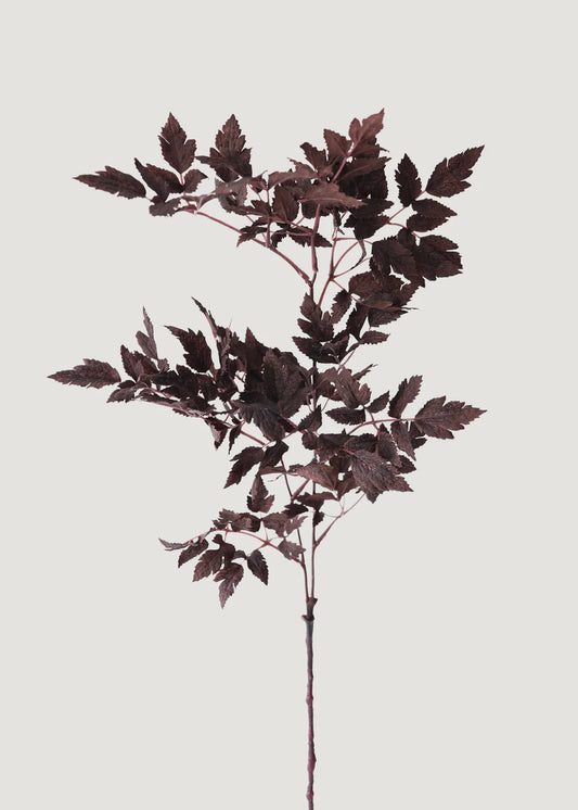 Plum Fake Cimicifuga Ramosa Leaves - 31"